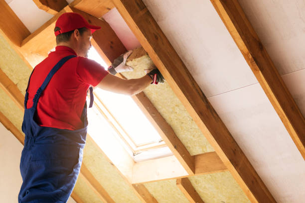 Best Commercial Insulation Services  in Allardt, TN